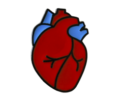 Anatomisk hjärta pin 27x19mm