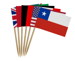 Tårtflaggor vi gör dem med din logotyp från endast 1000 st.