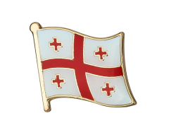 Georgia flagga pins