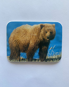 Björn - 95x70mm kvadratisk klistermärke med rundade hörn