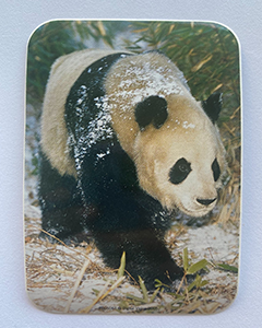 Panda - 95x70mm kvadratisk klistermärke med rundade hörn