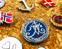 Pins för skolor och högskolor