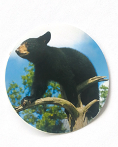 Svart björn - 80mm runt klistermärke