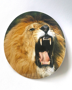 Lejon - 80mm runt klistermärke