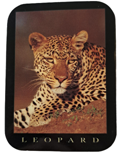 Leoparddekal 70x52mm