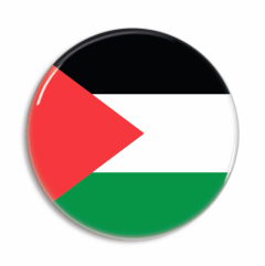 Palestina flaggknapp