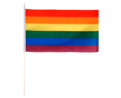 Pride handflagga 20 x 30 cm, nylon