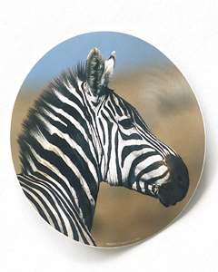 Zebra - 80mm runt klistermärke
