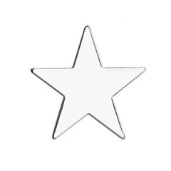 Sølv stjerne pin
