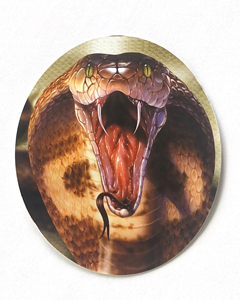 Orm - 80mm runt klistermärke