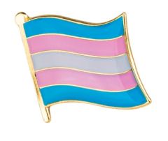 Transgender flagga pin